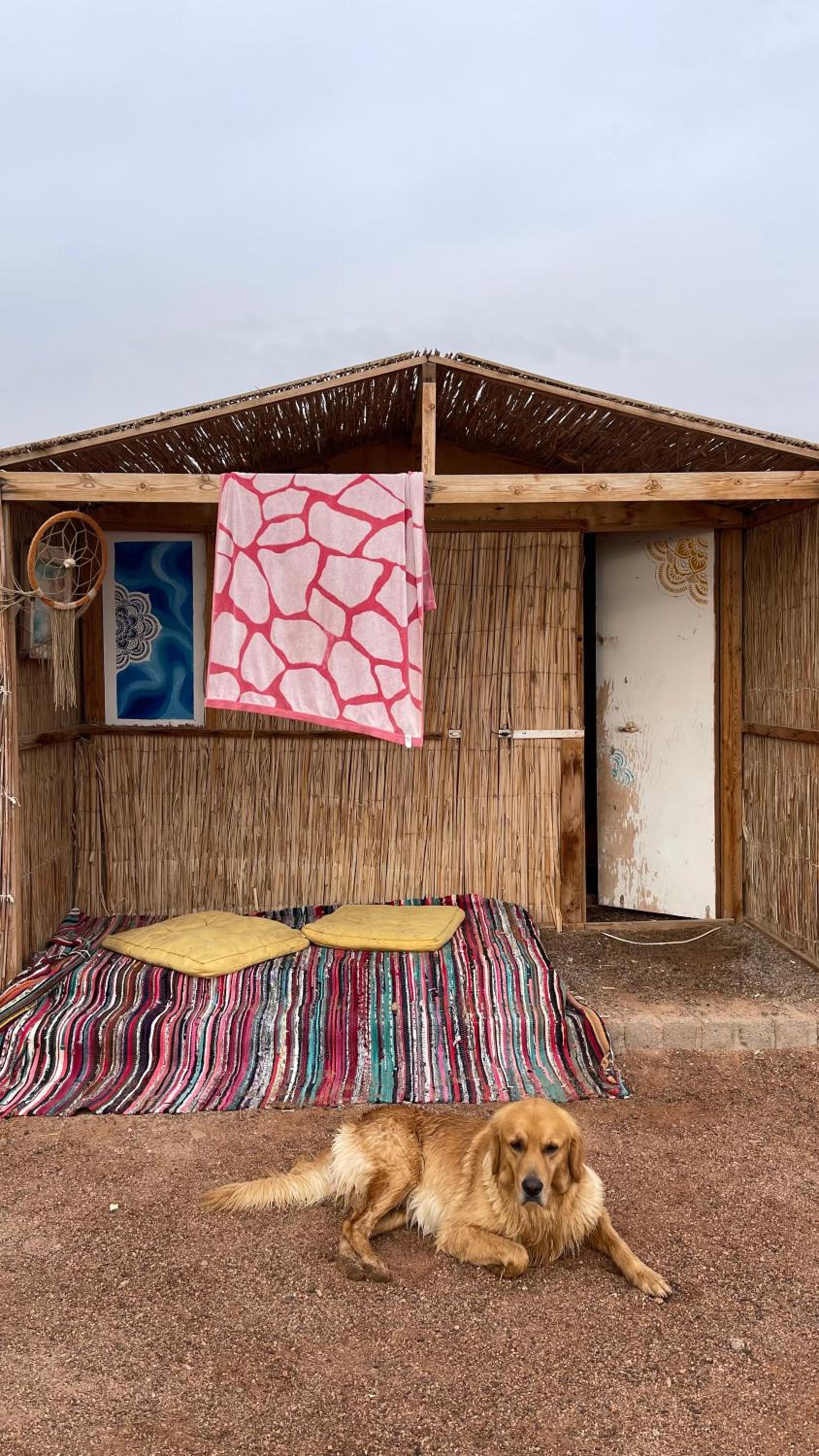 Alwaha Camp