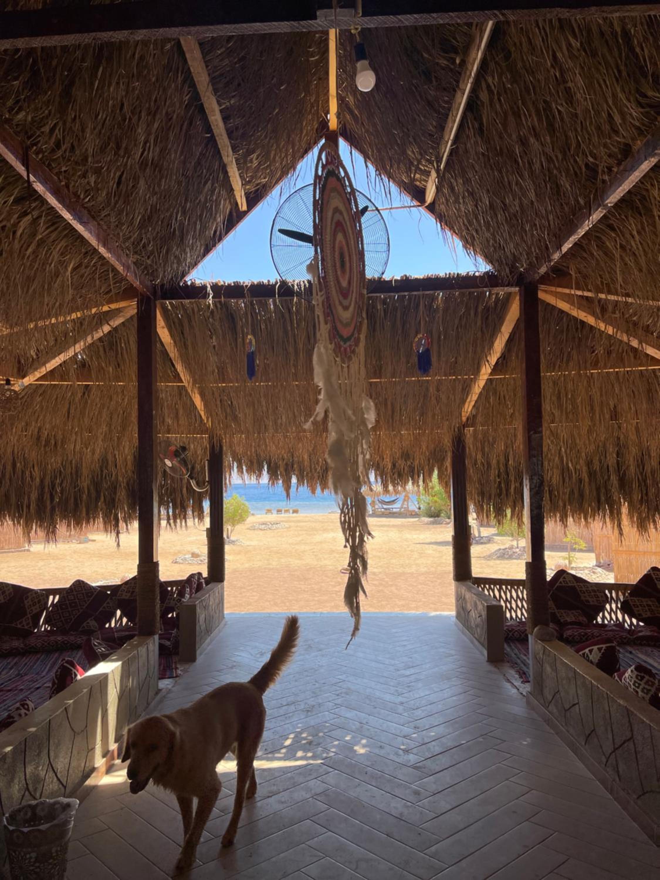 Alwaha Camp
