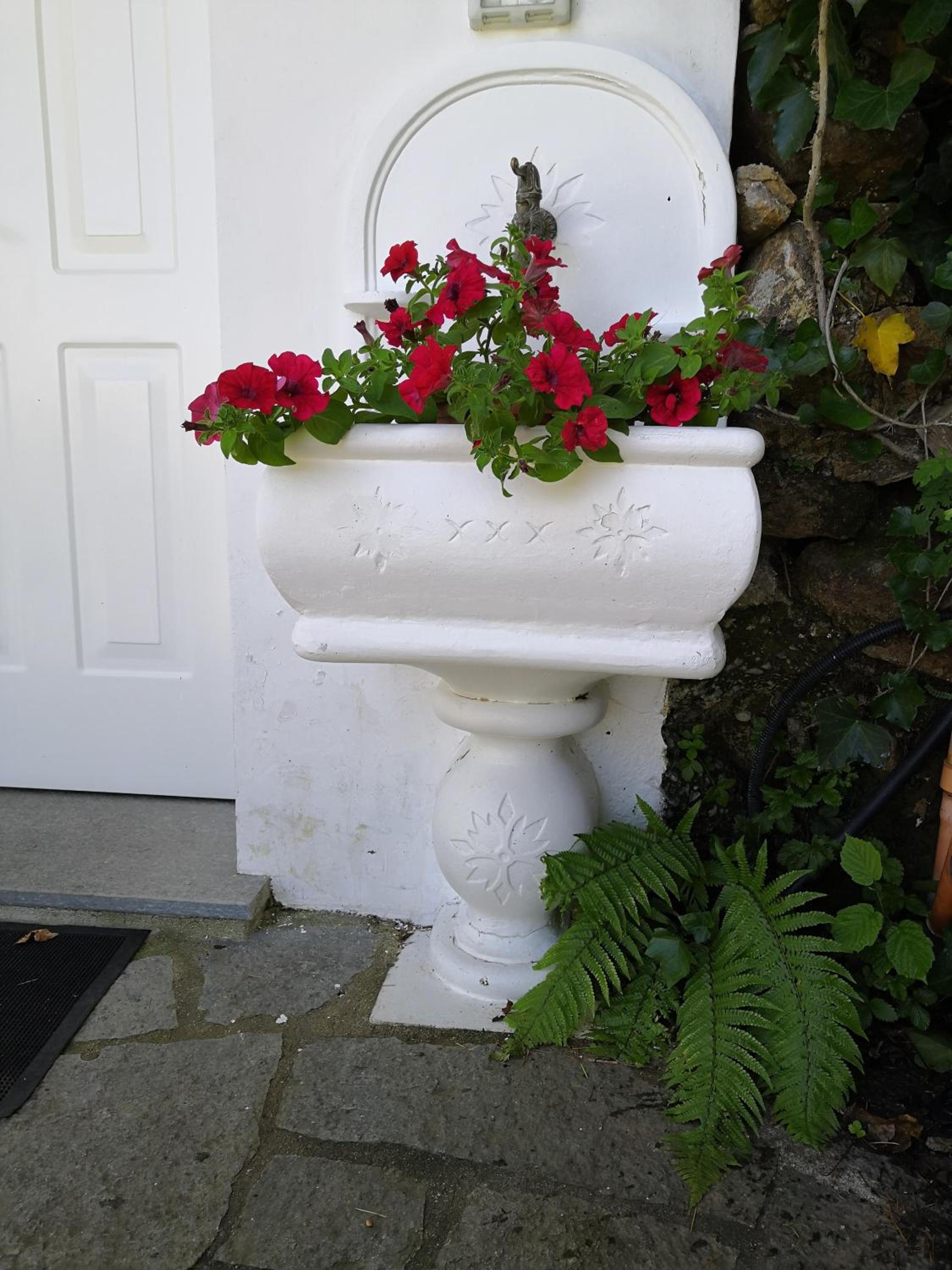 Photo 46