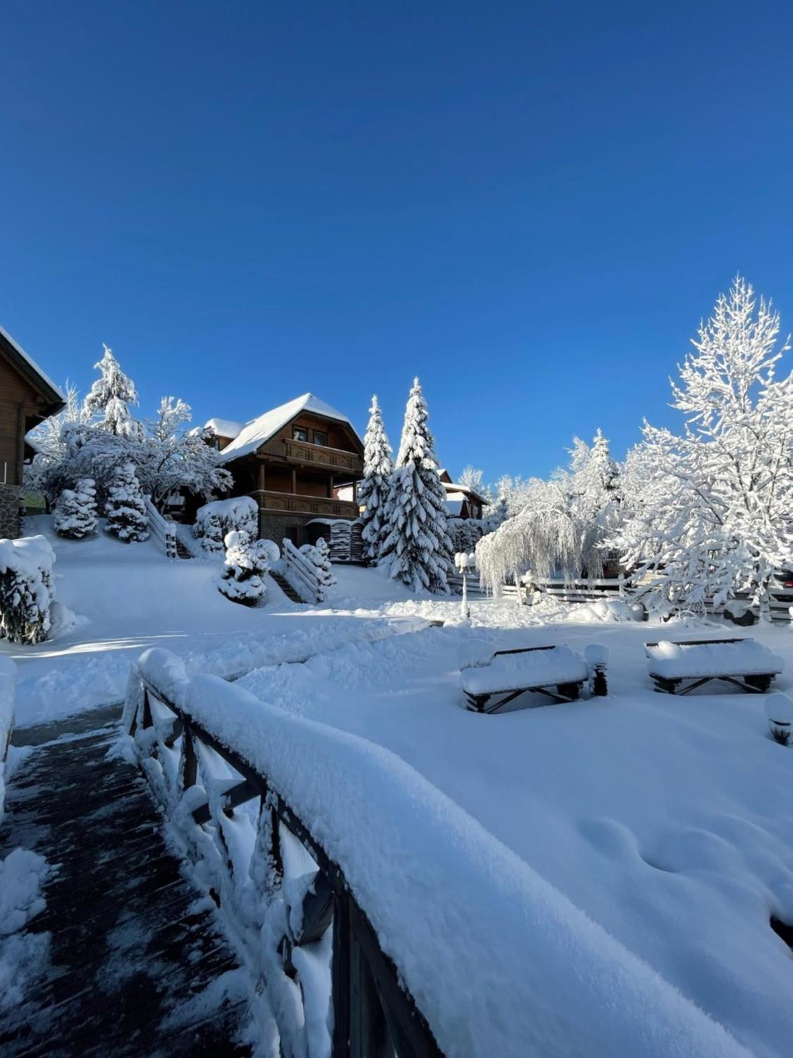Korošec Apartments and Wellness Centre