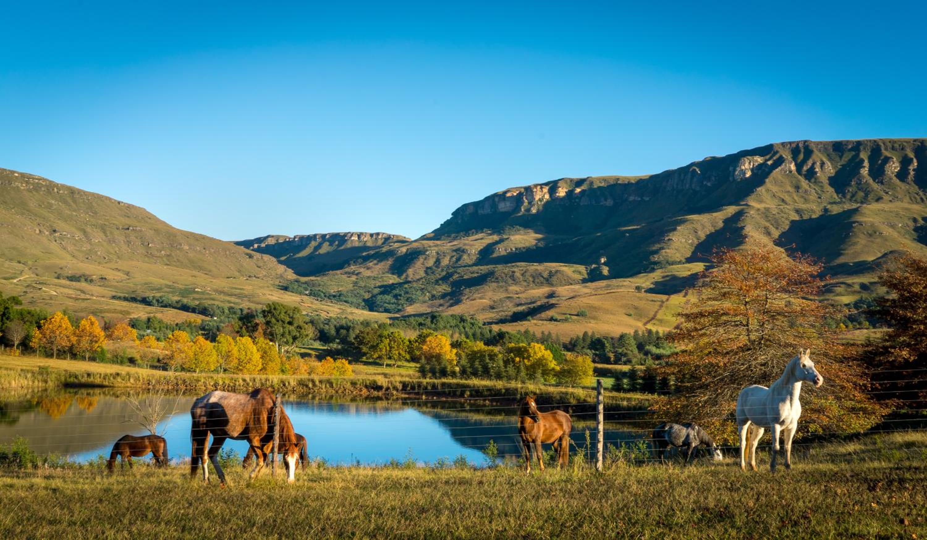 Silver Hill Lodge