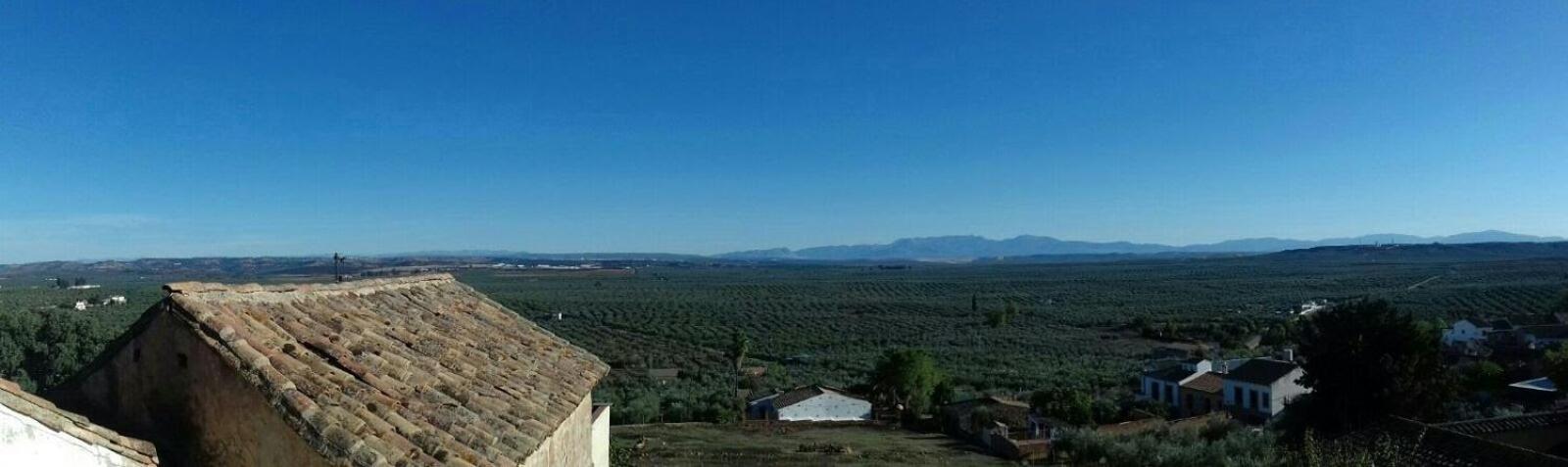 Casa Rural Verde Oliva
