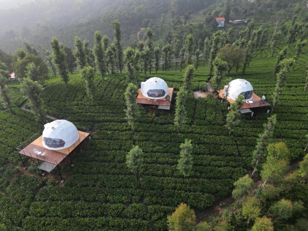 Vythiri Tea valley I Best Hotel In Wayanad l Hotels In Vythiri Wayanad view 2