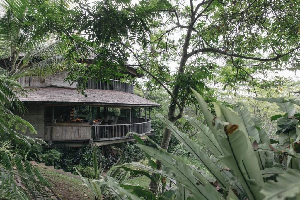 Jungle House Estate