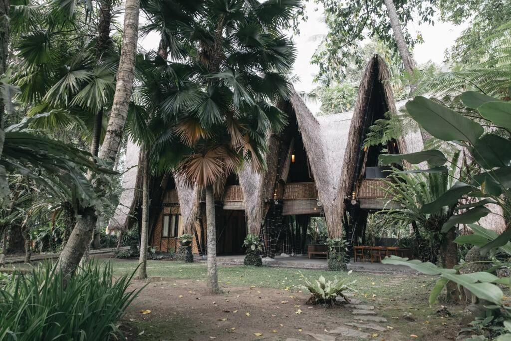 Jungle House Estate