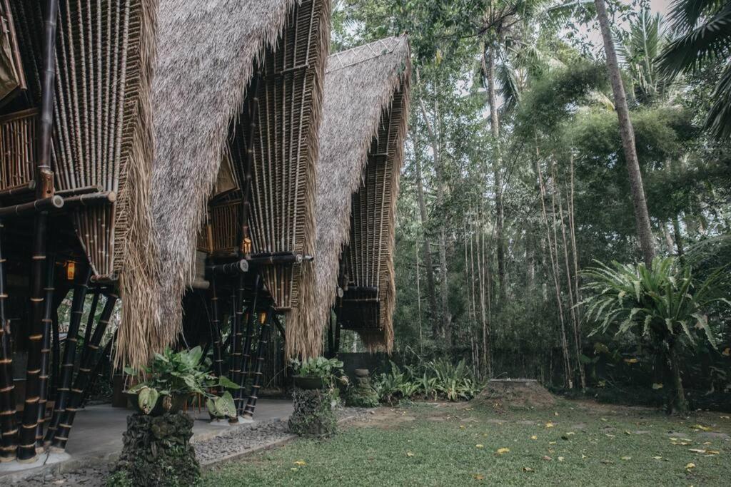 Jungle House Estate