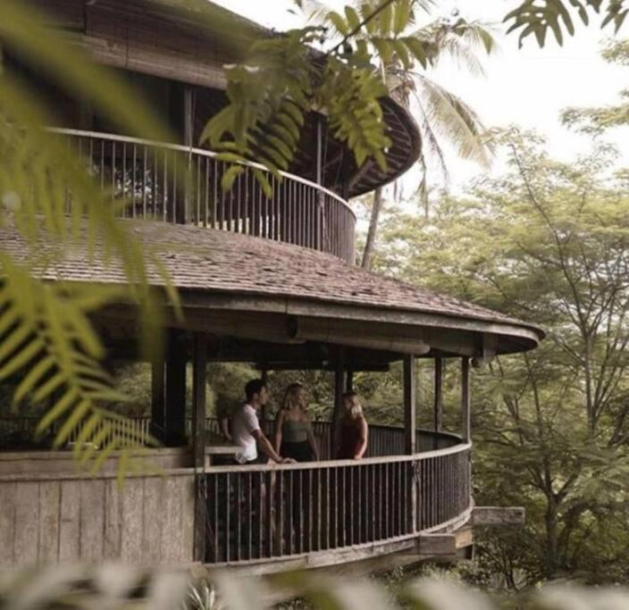 Jungle House Estate