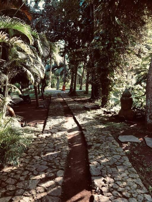 Jungle House Estate