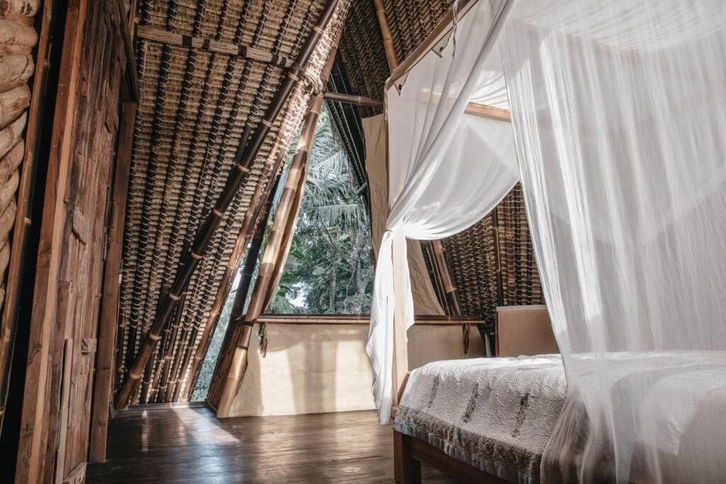 Jungle House Estate