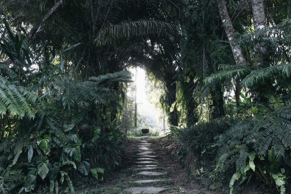 Jungle House Estate
