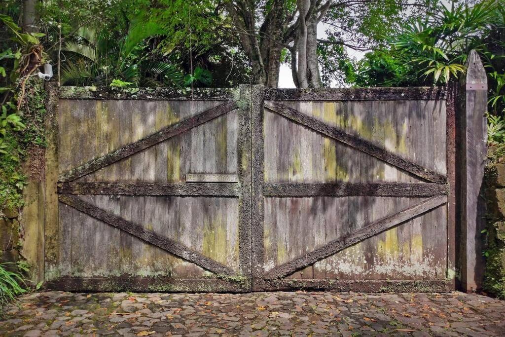 Jungle House Estate