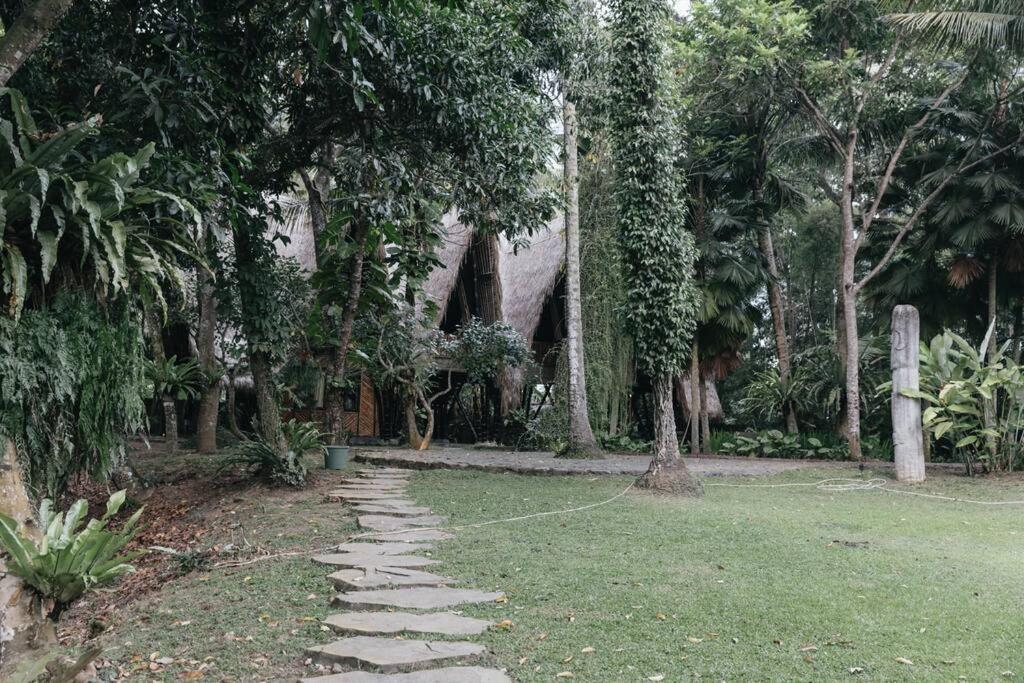 Jungle House Estate