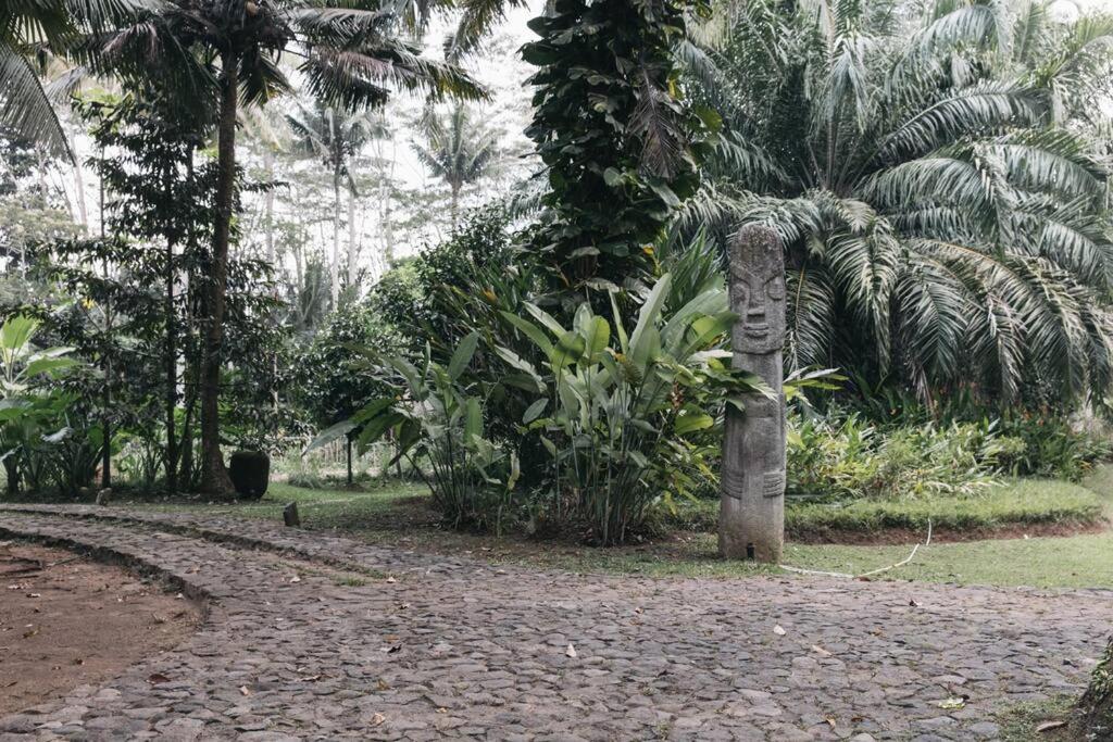 Jungle House Estate