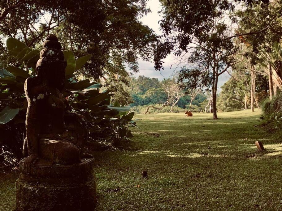 Jungle House Estate