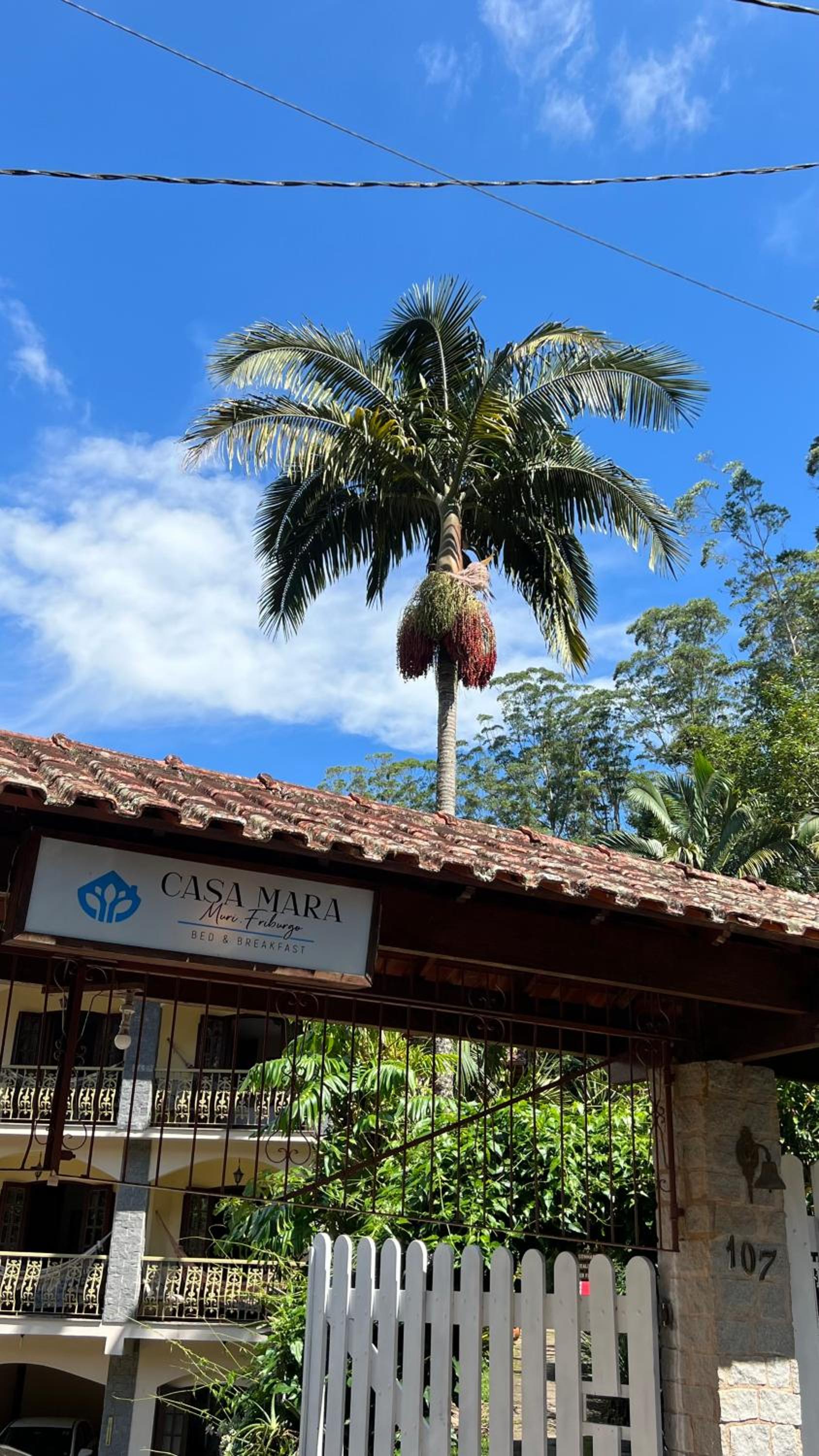 Espaço Vida Mury - Casa Mara