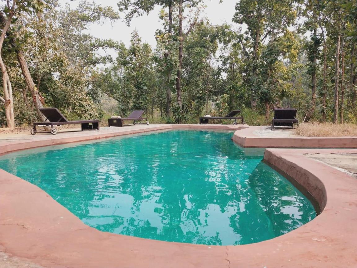 Emerald Tiger Retreat