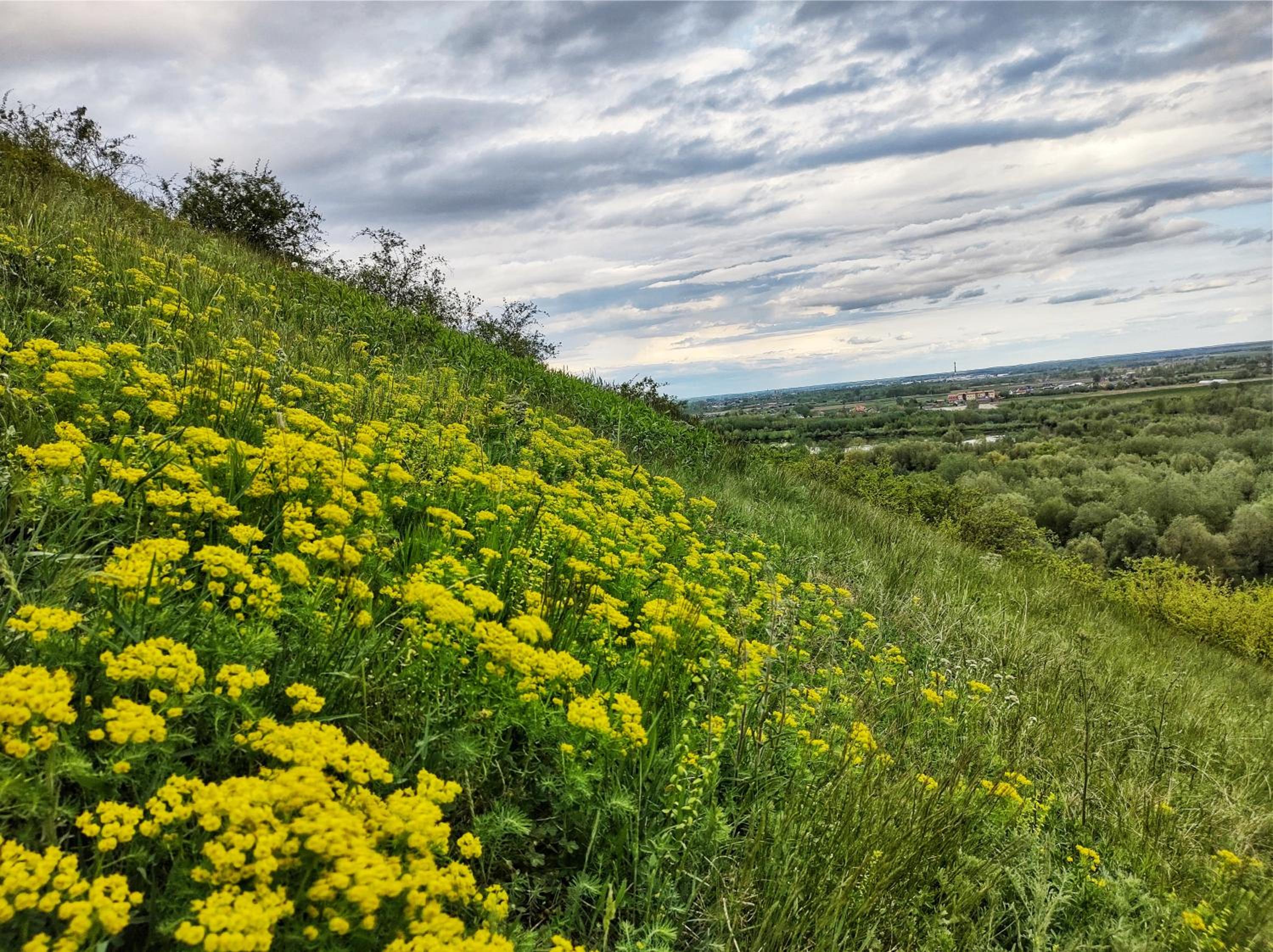 "Pieprzowe Wzgórze" - domki sauna góry rzeka view 5