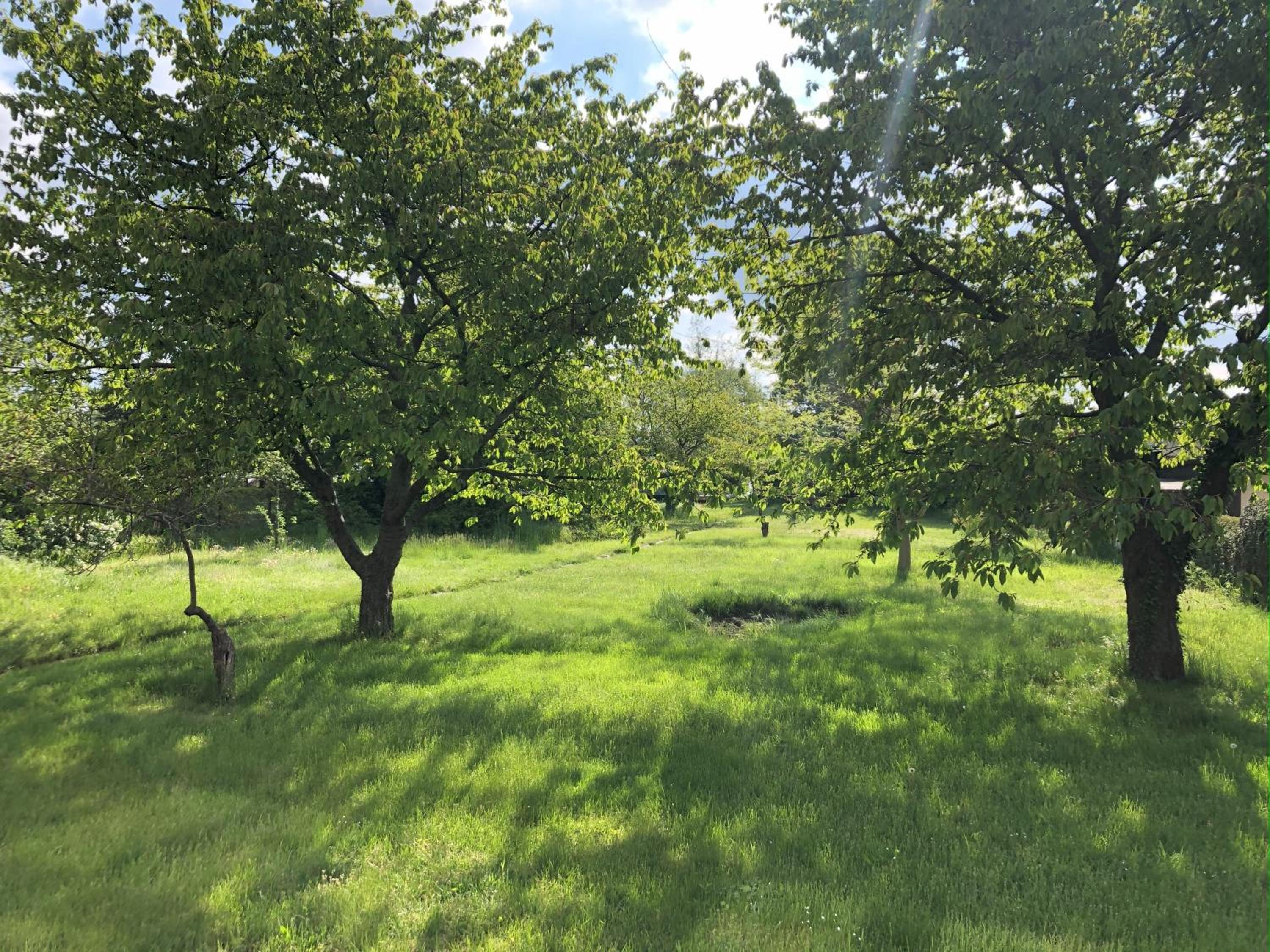 Hof Märkische Heide