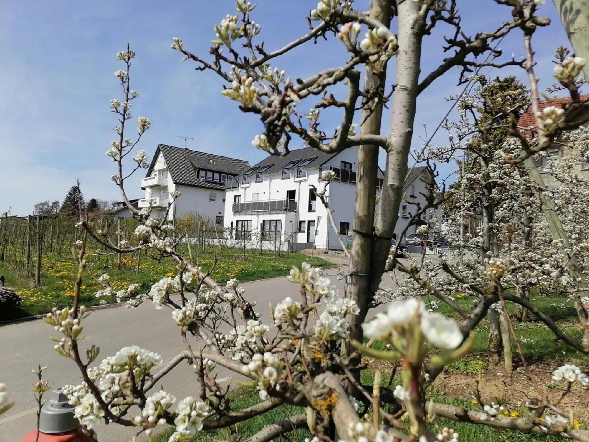 Haus Agatha
