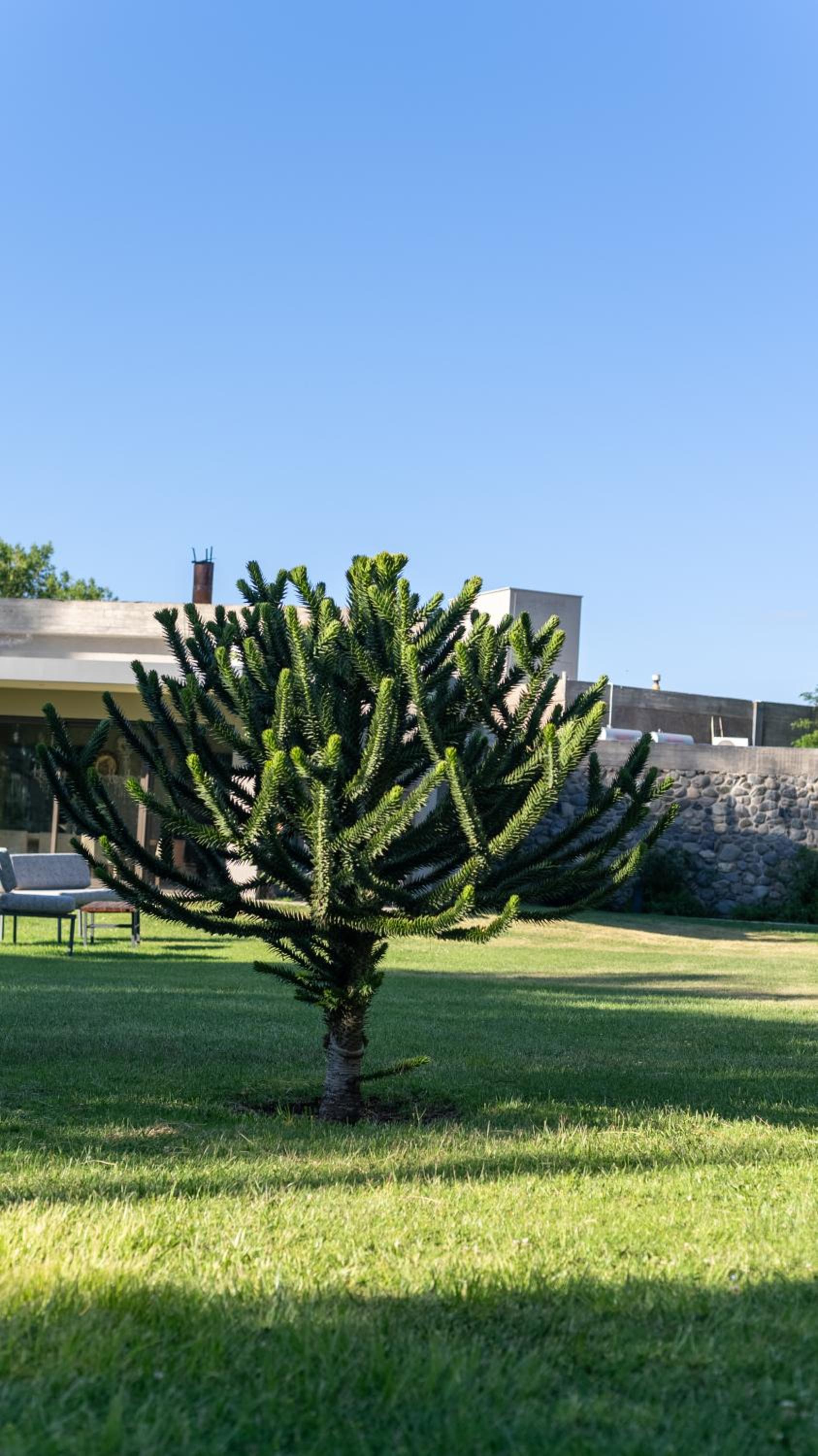 Casa de Huéspedes La Azul