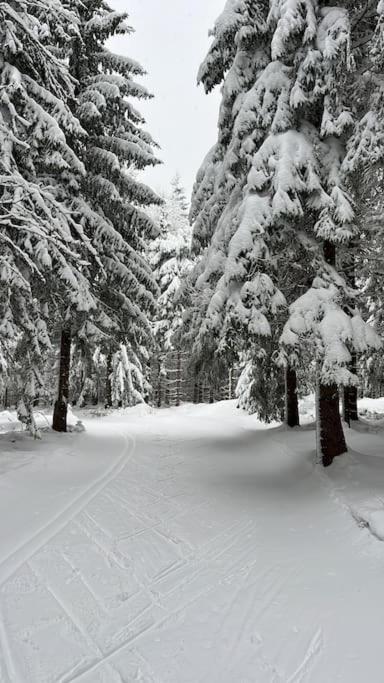 Krkonoše - apartmán s výhledem