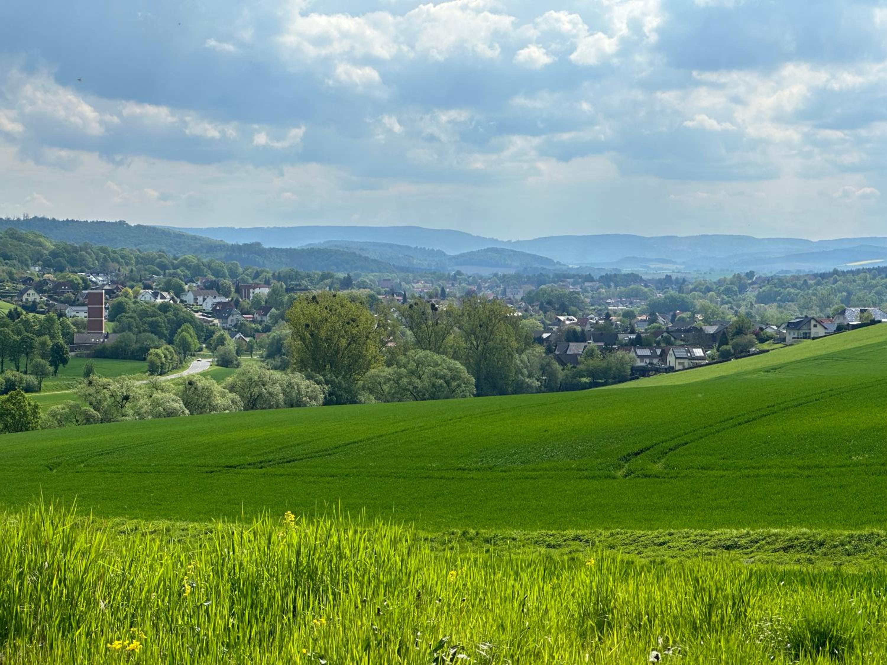 Aminas Ferienwohnung Bad Gandersheim 30/2