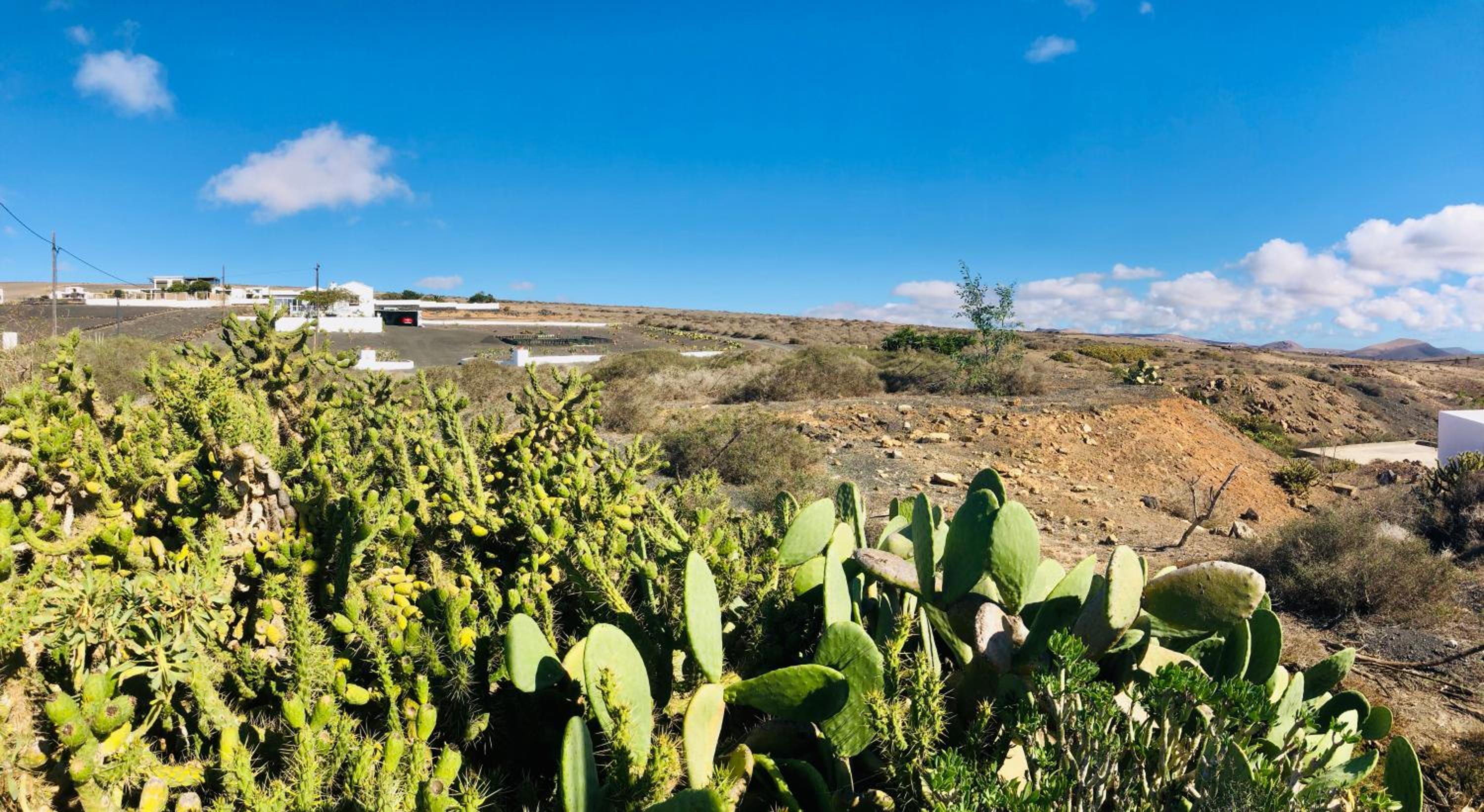 Apartment Alegranza in the beautiful village of Mozaga, Lanzarote