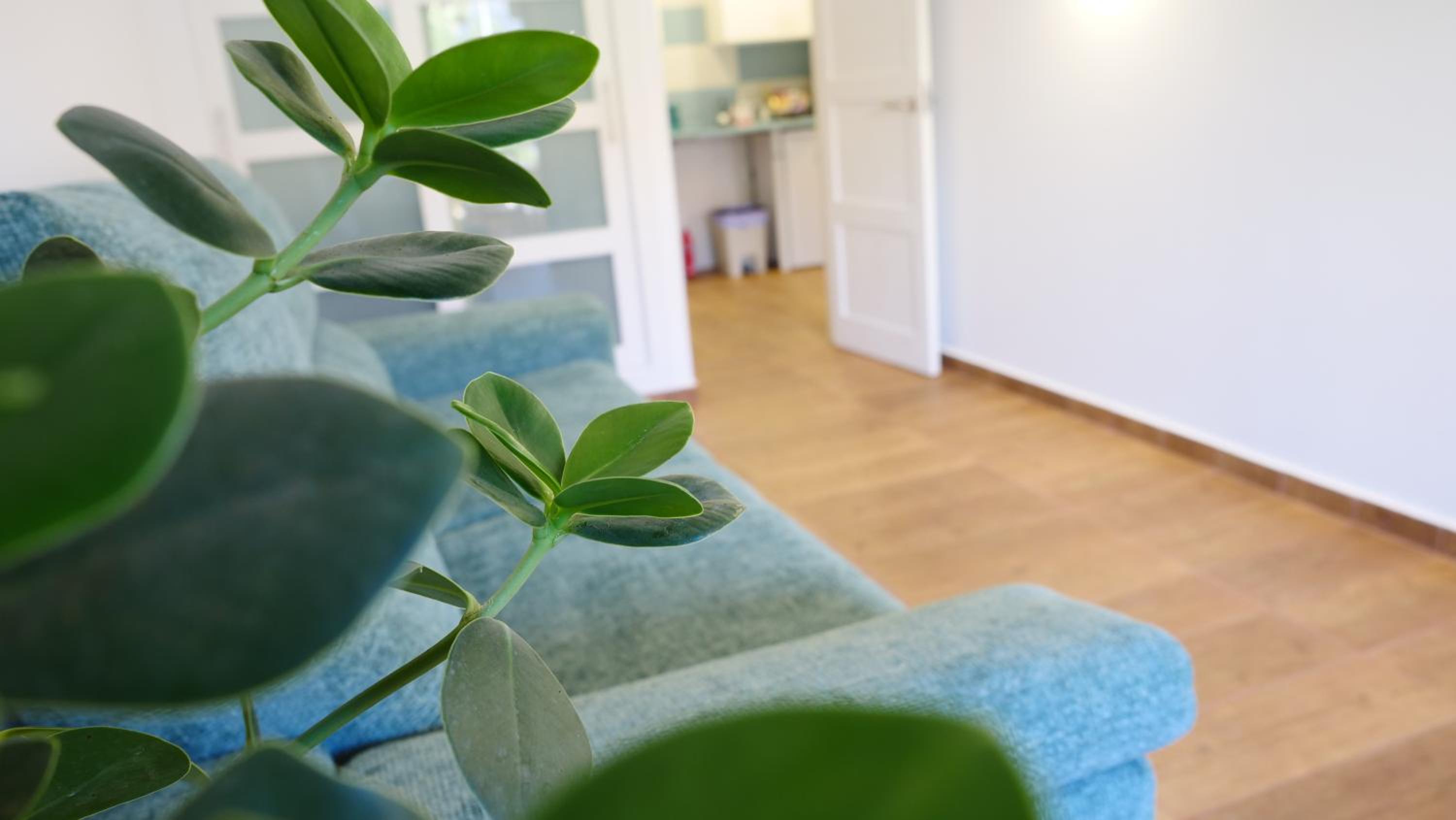 Türkiz Kánaán Apartman