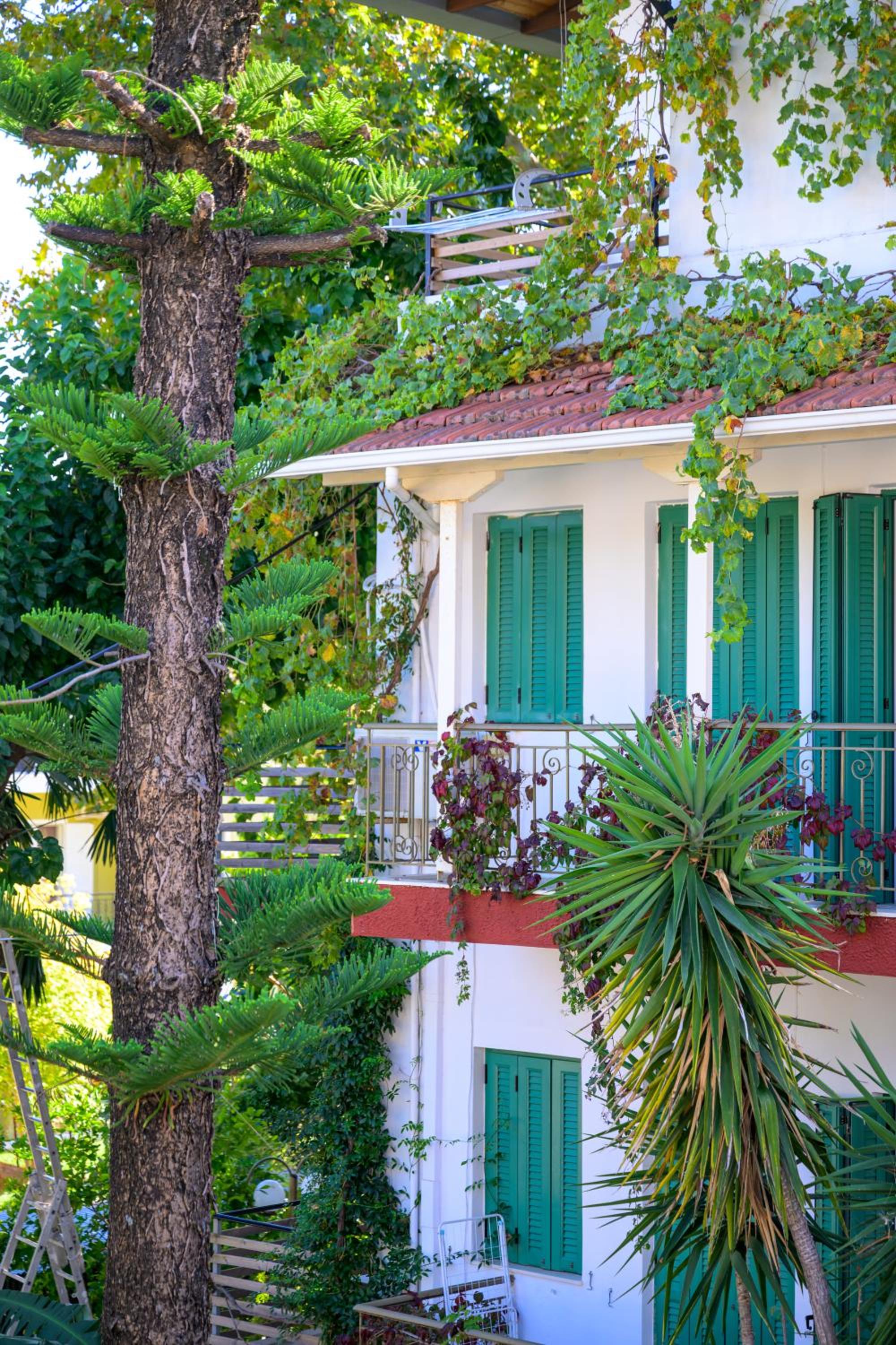 Ionian Paradise