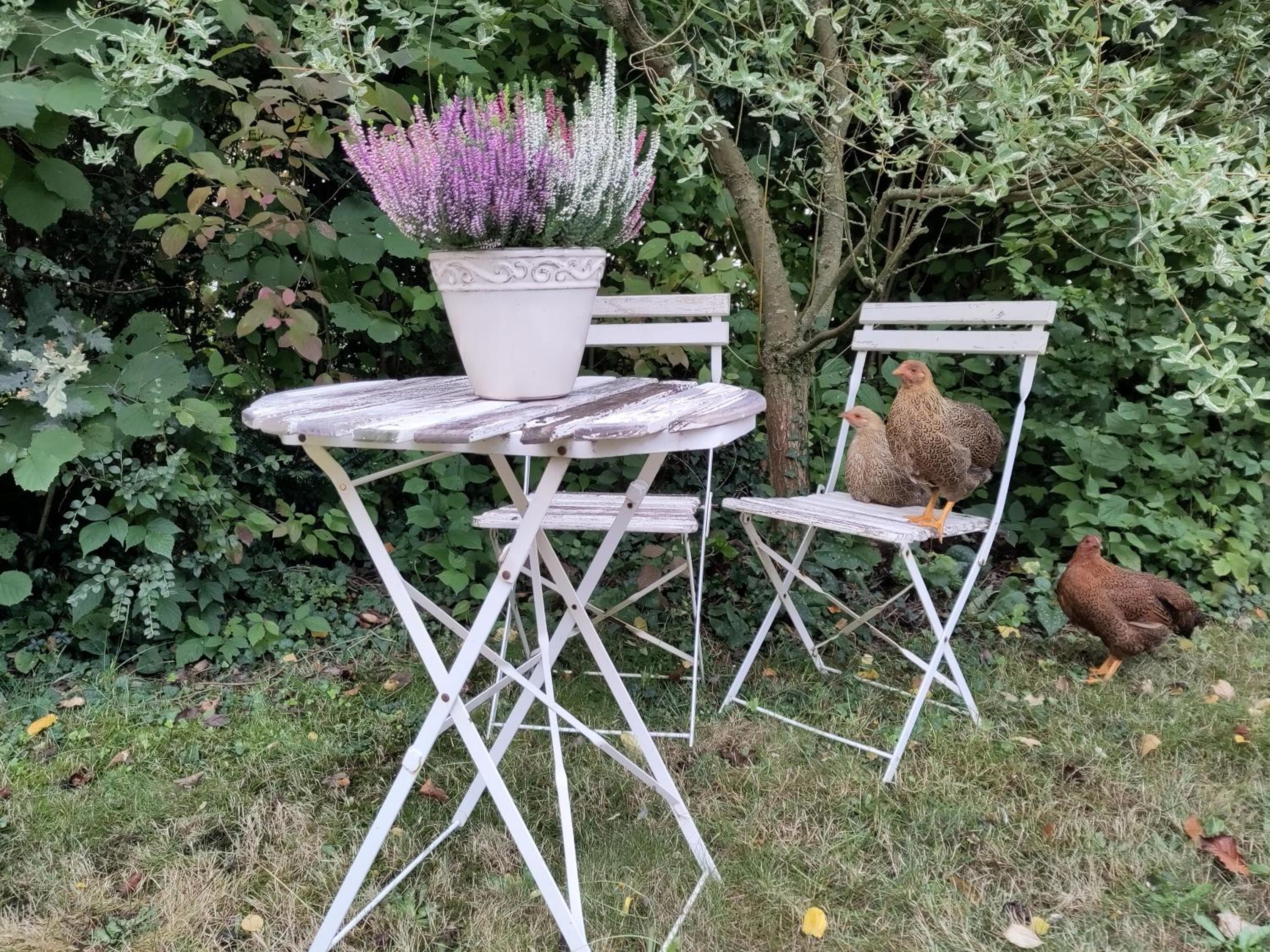 Ruhige Ferienwohnung „Südhang“ direkt am Wald