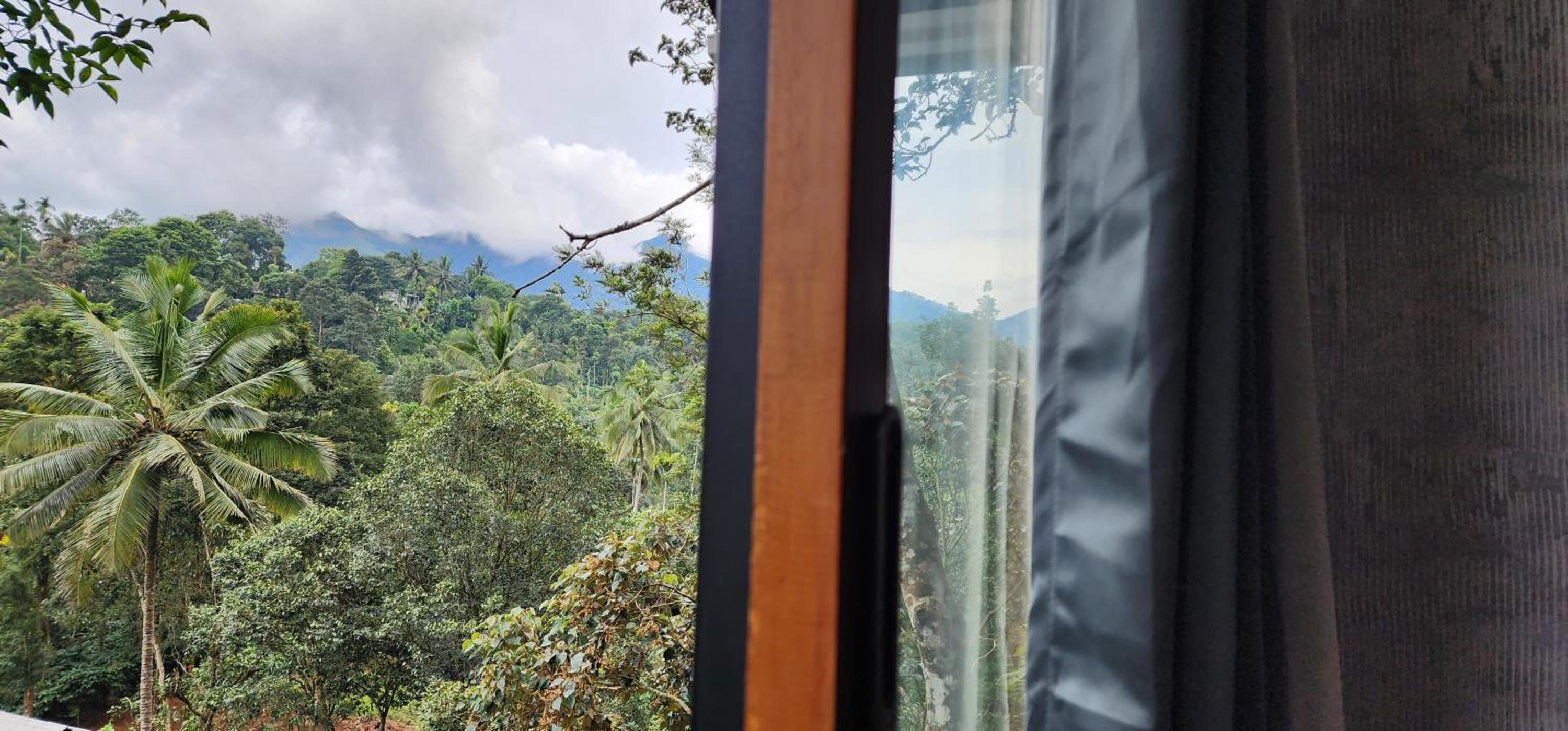 TREE6 WAYANAD