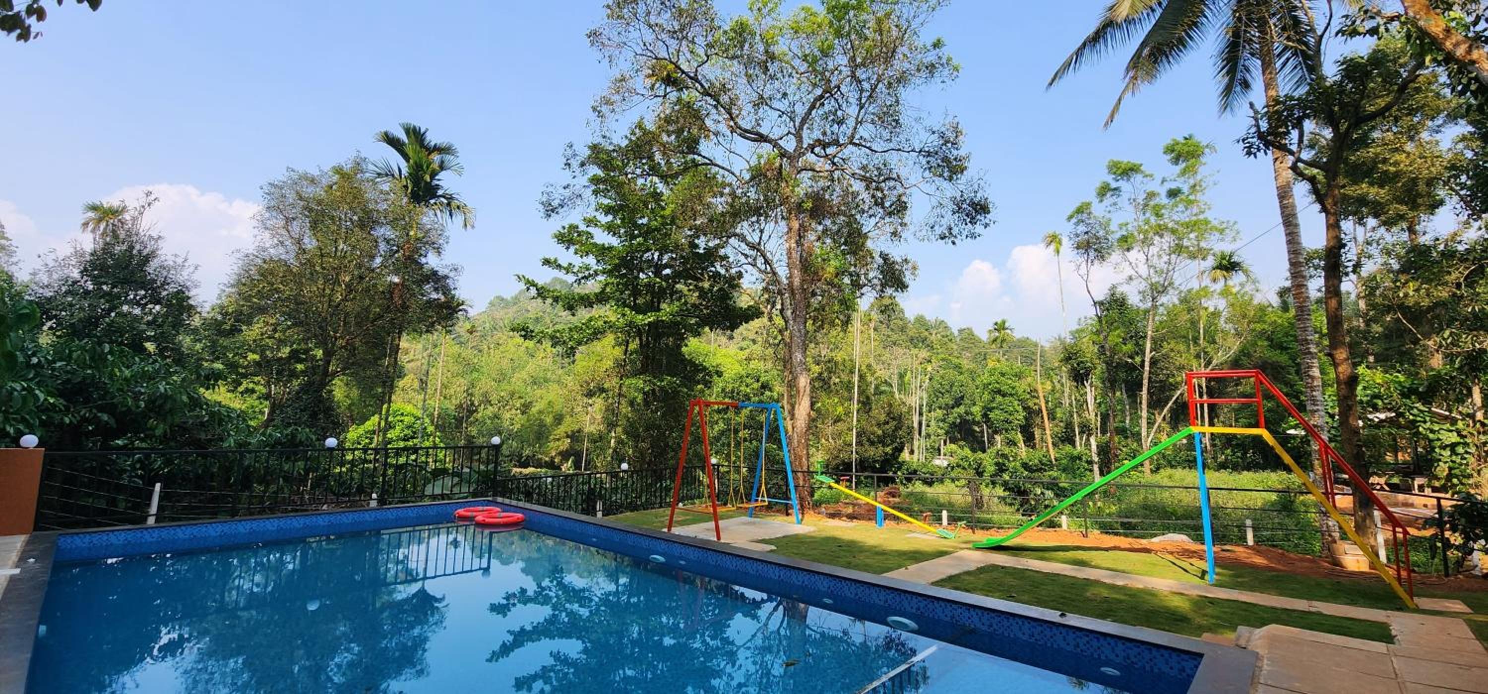 TREE6 WAYANAD
