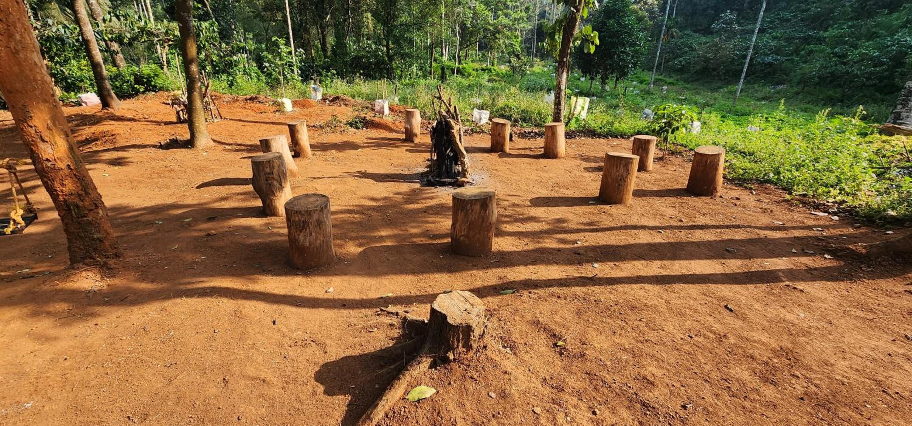 TREE6 WAYANAD