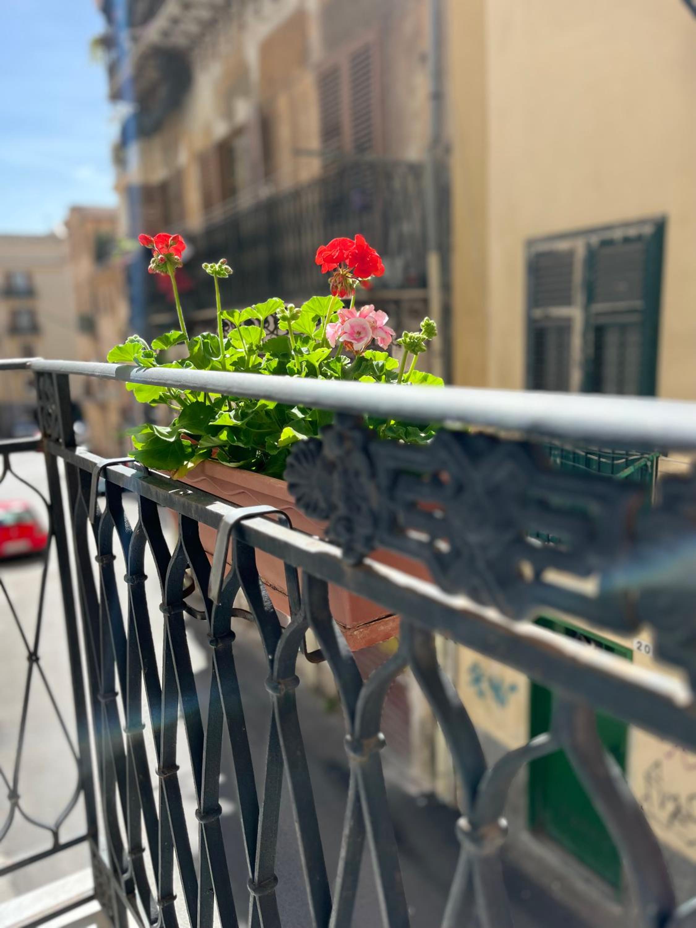 Palermo21Apartment view 4