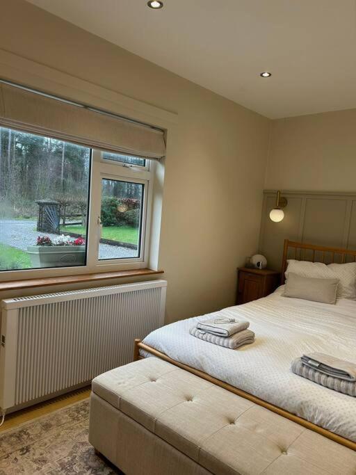 Favour Royal Cottage - dog friendly forest escape view 4