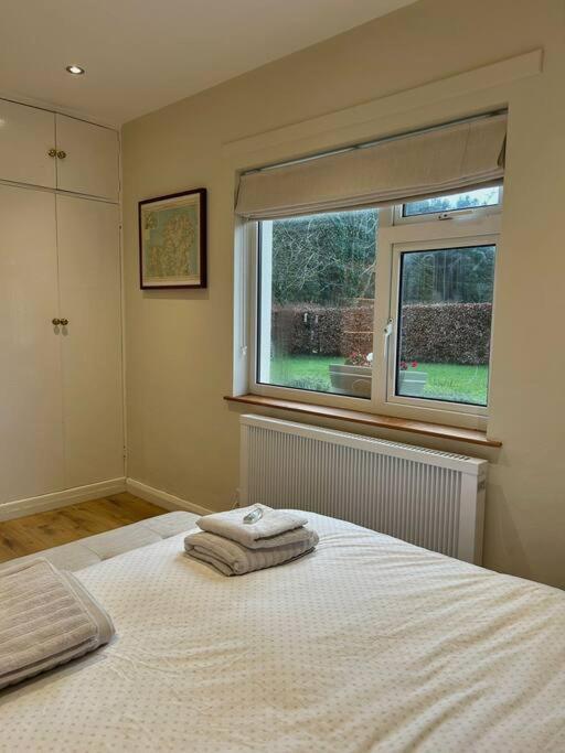 Favour Royal Cottage - dog friendly forest escape view 5