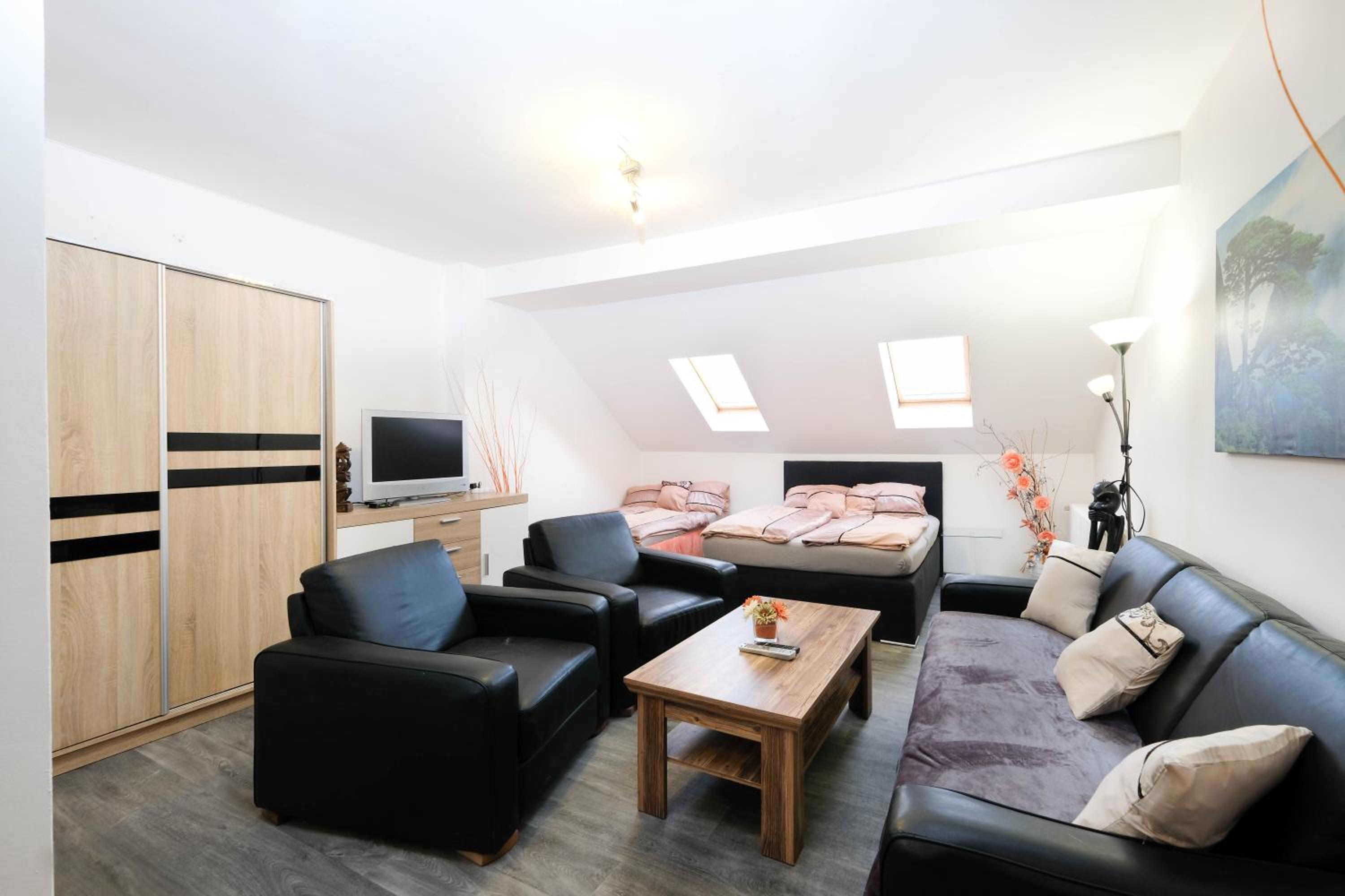 Apartments Alena - Karlovy Vary