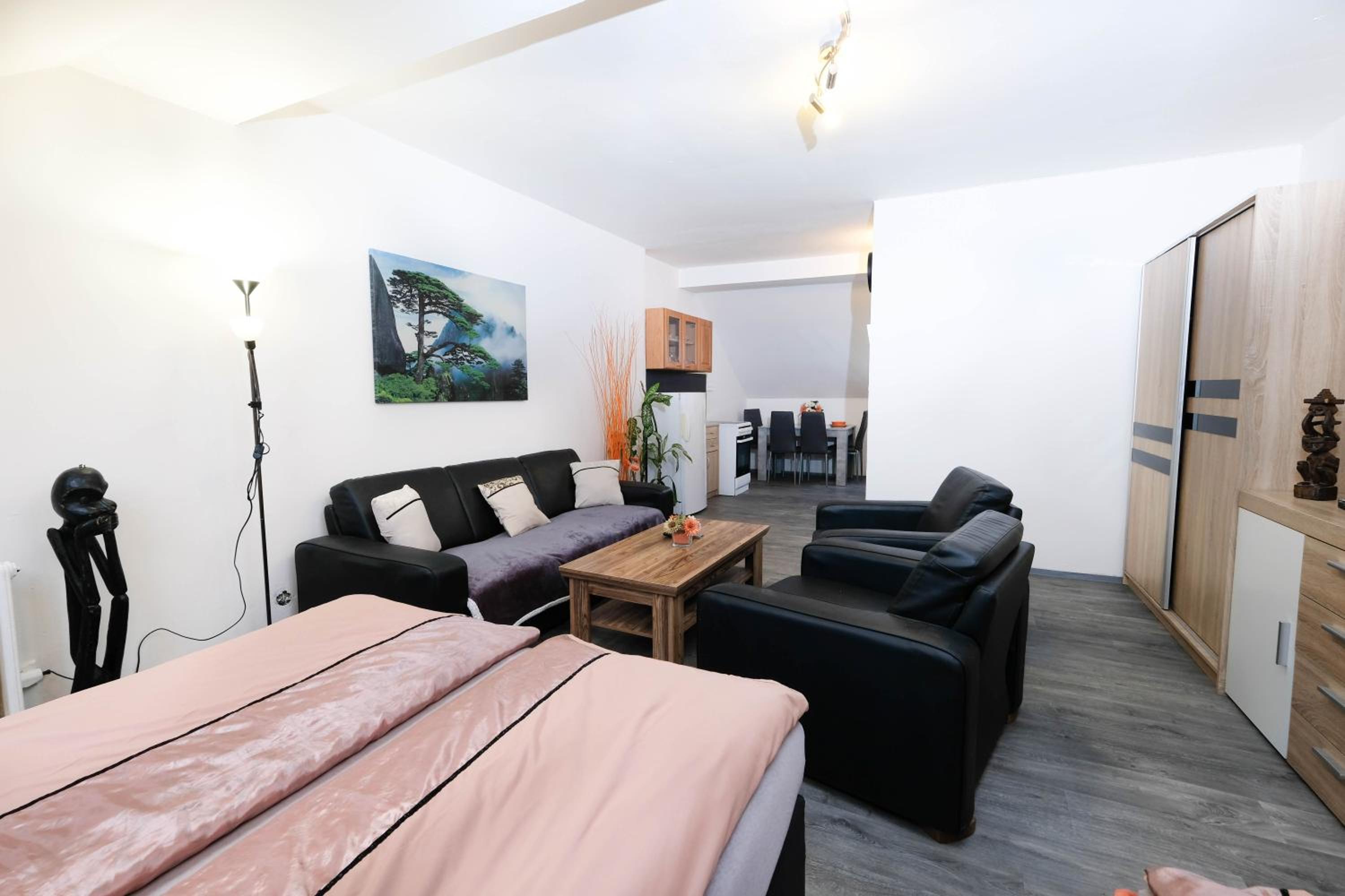 Apartments Alena - Karlovy Vary