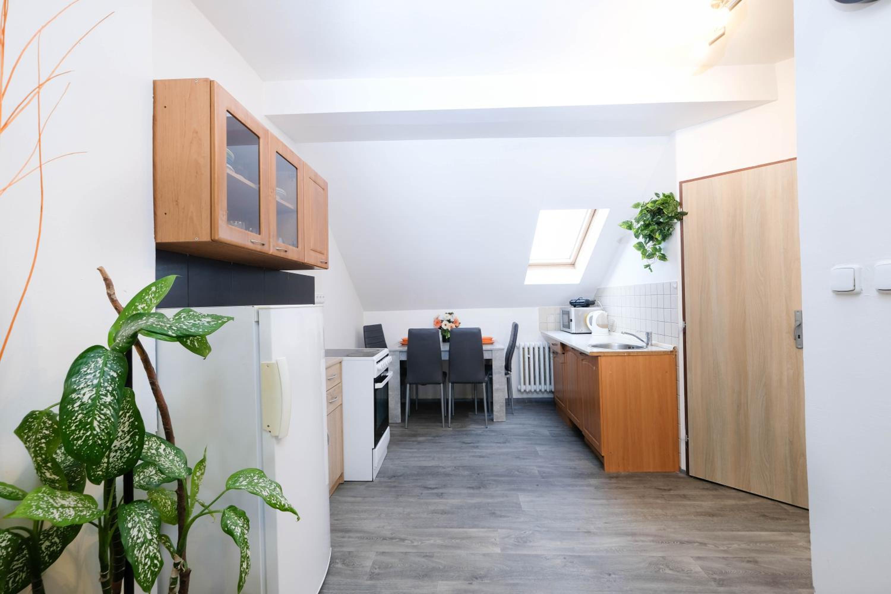 Apartments Alena - Karlovy Vary