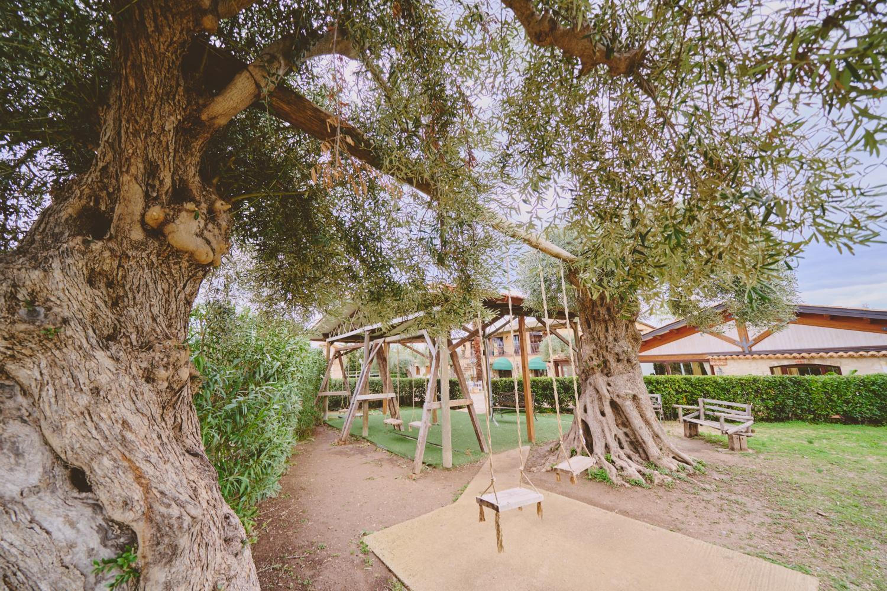 Photo 45