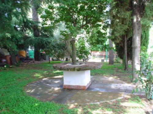 Il Vigneto