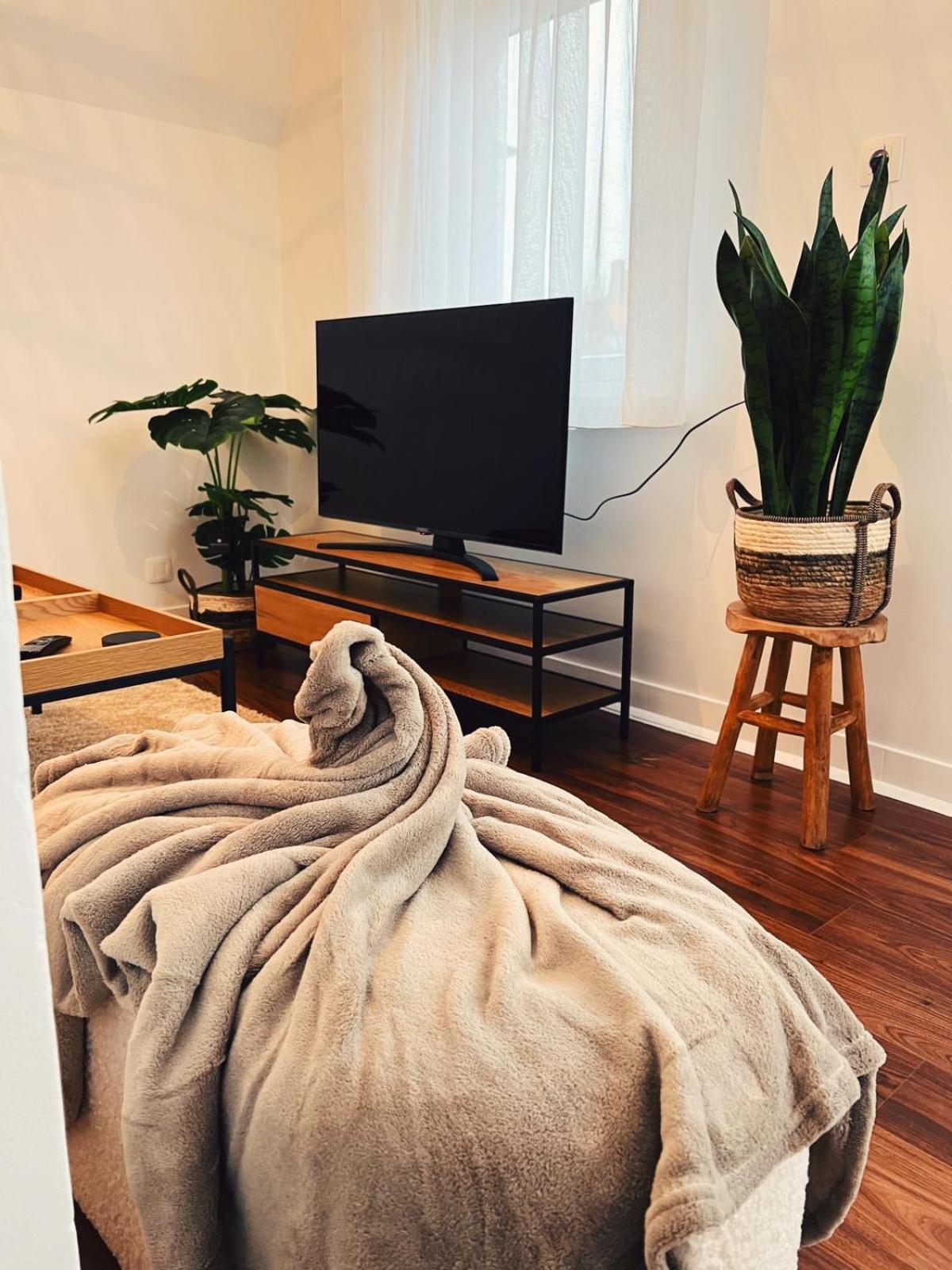 Studio Bella
