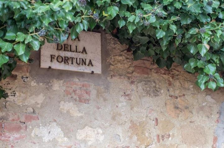 Artistica Pienza - Breathtaking Val d'Orcia View view 5