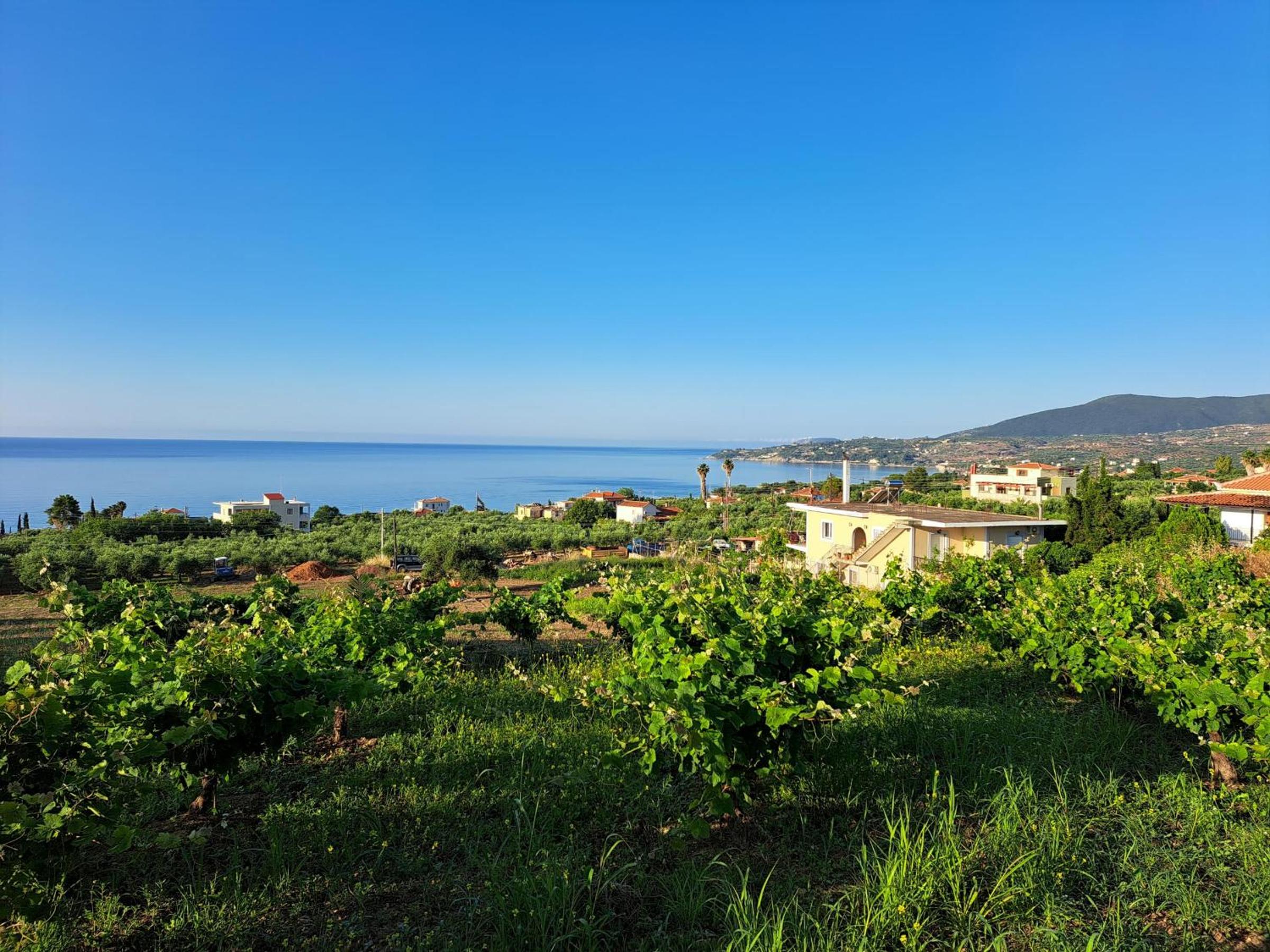 TAKIS BIZOS House 1 view 4