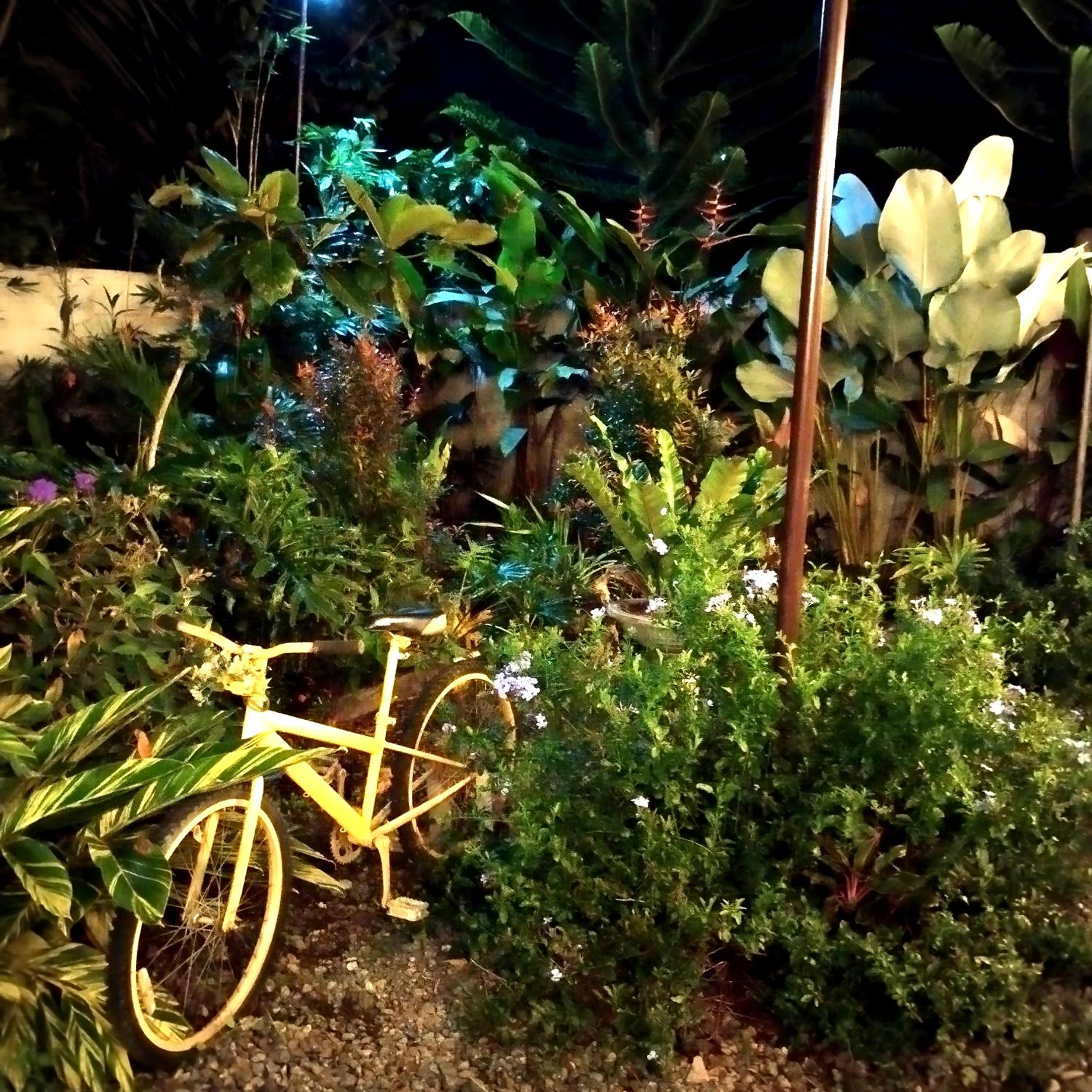 Garden Villa view 3