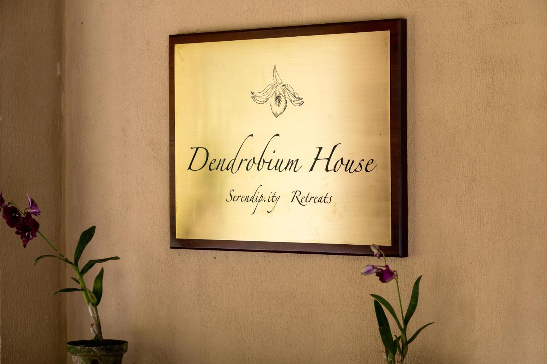 Dendrobium House 71