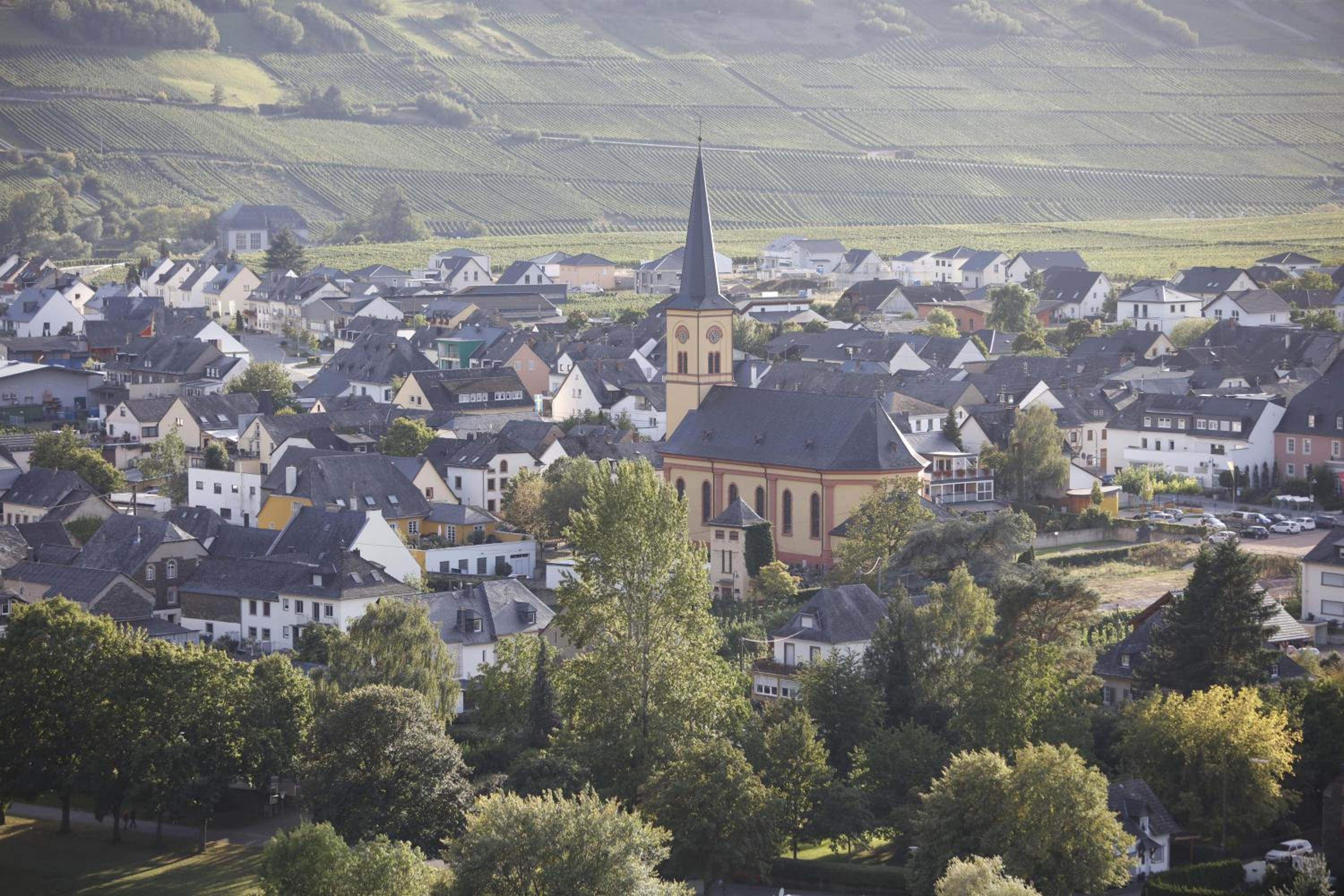 Moselhaus by Clüsserath-Wittmann