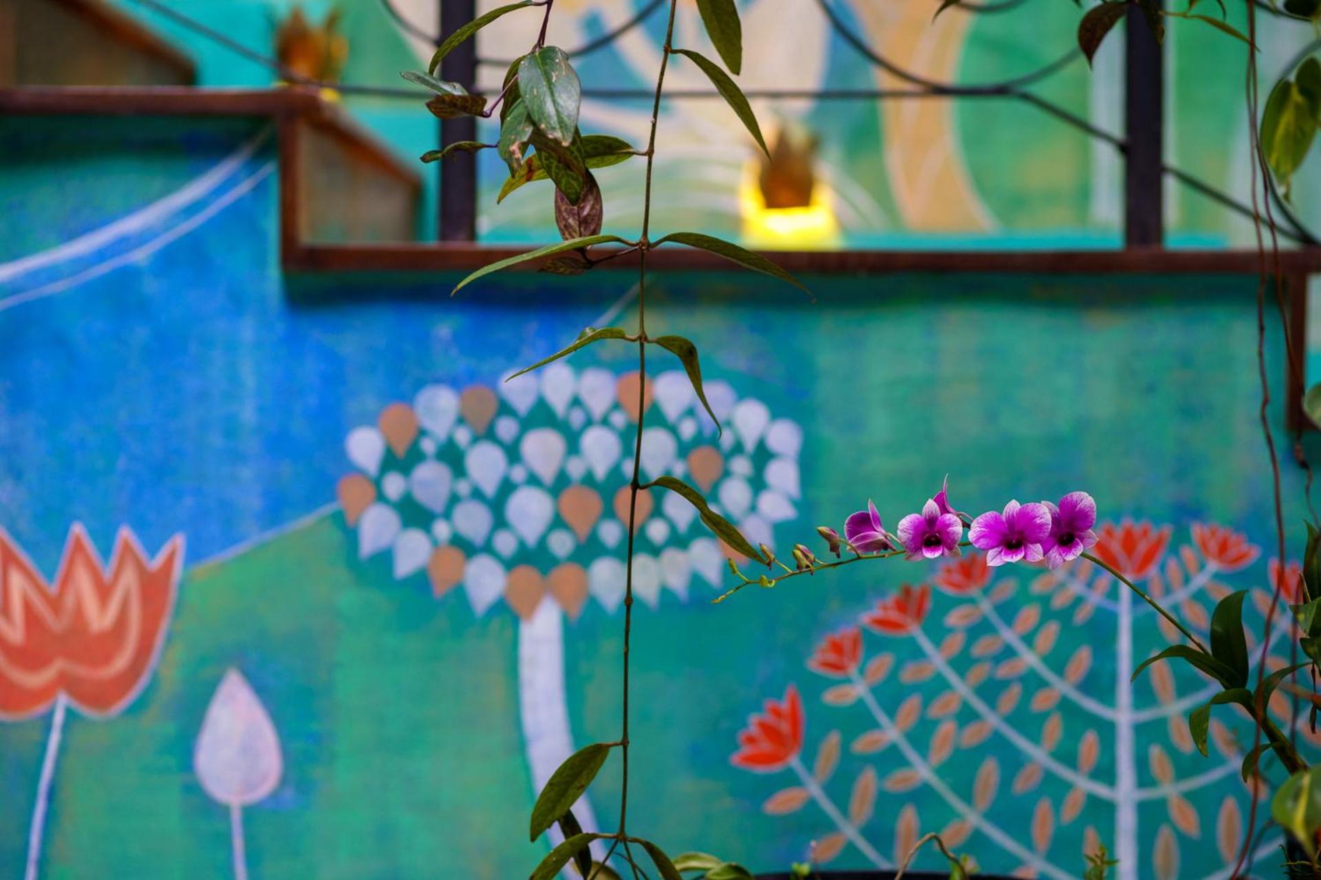 Dendrobium House 51