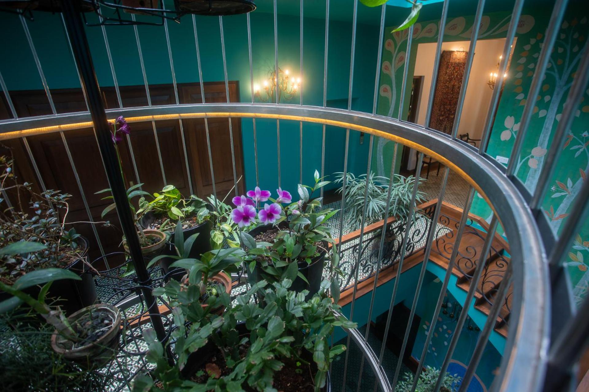 Dendrobium House 54
