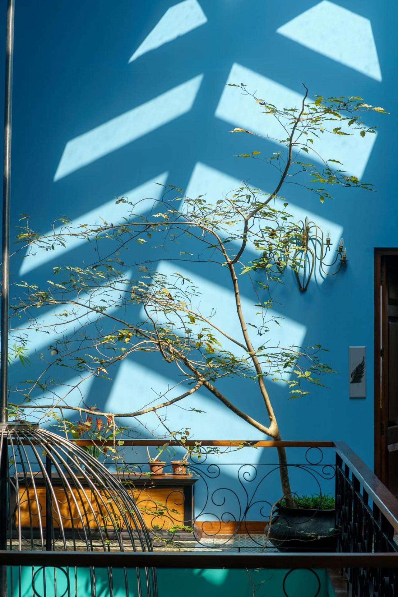 Dendrobium House 34